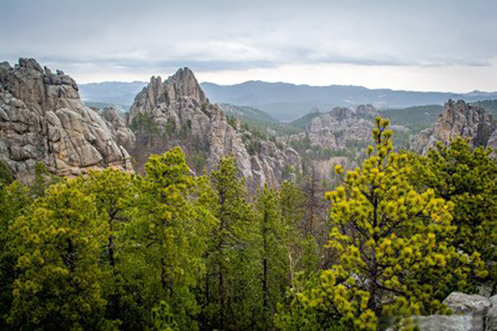 Pine Ridge National Recreation Area